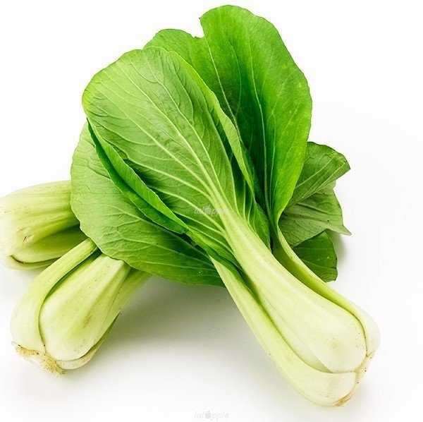 pak choi plantas comestibles ecoterra